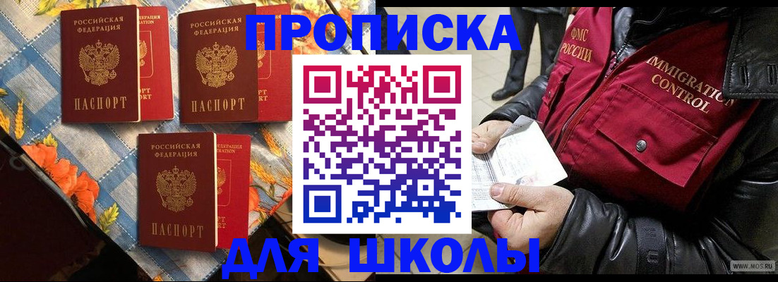 временная регистрация поиск в Светлогорске