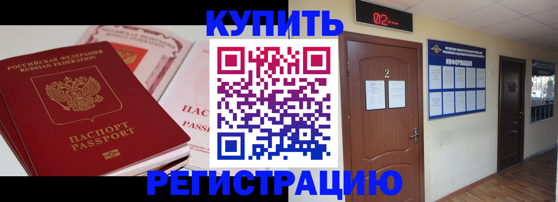 пропишу в квартире в Светлогорске